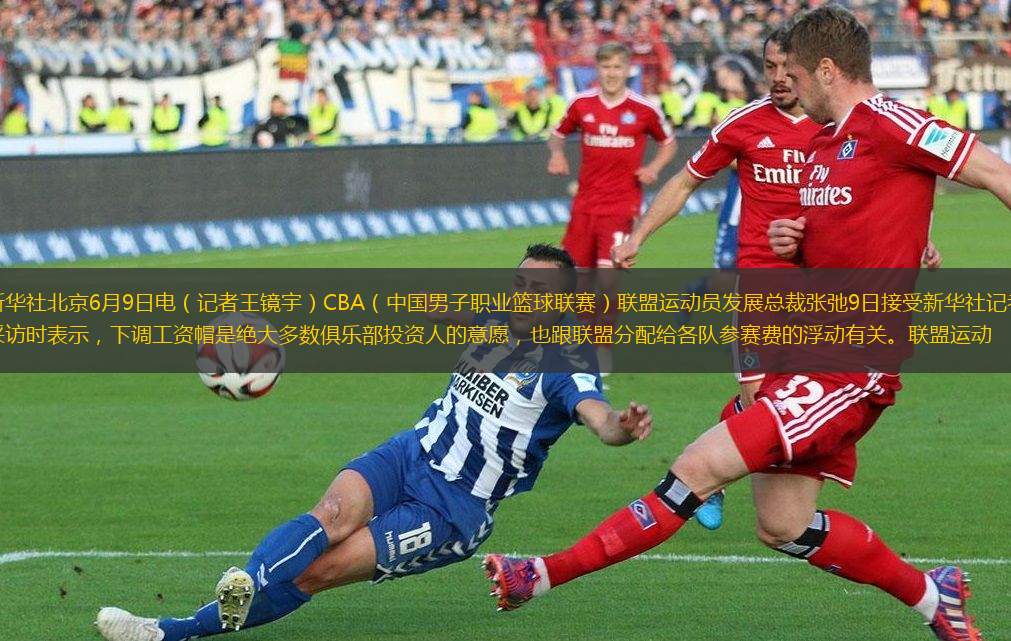 这不仅是一